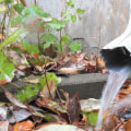 Why Do Gutters Overflow in Heavy Rain?