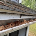 The Importance of Maintaining Gutters for a Healthy Home